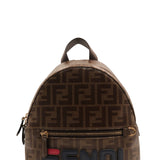 Fendi bags luxury designer piece front view