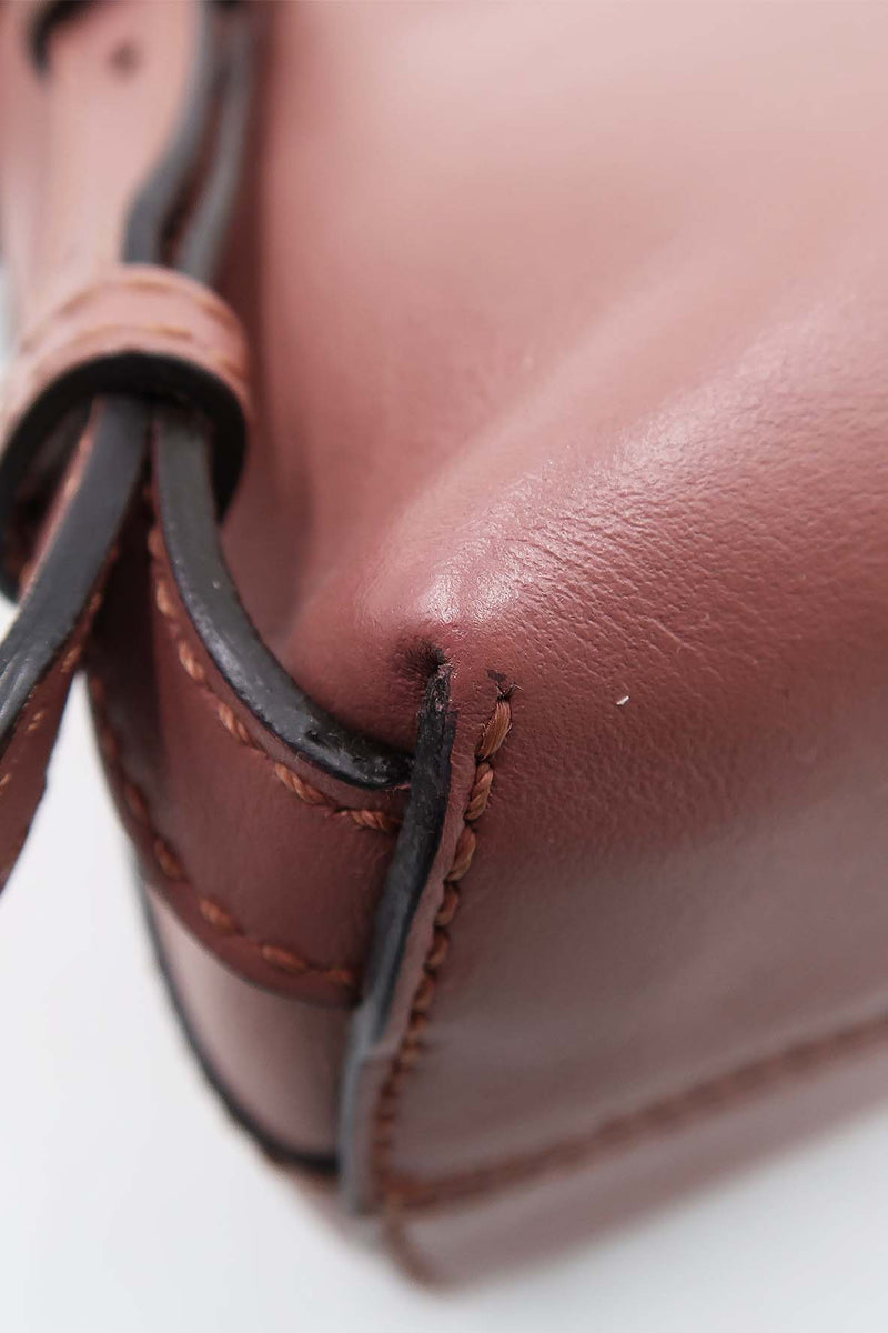 Close-up of Mini bags hardware and fine stitching