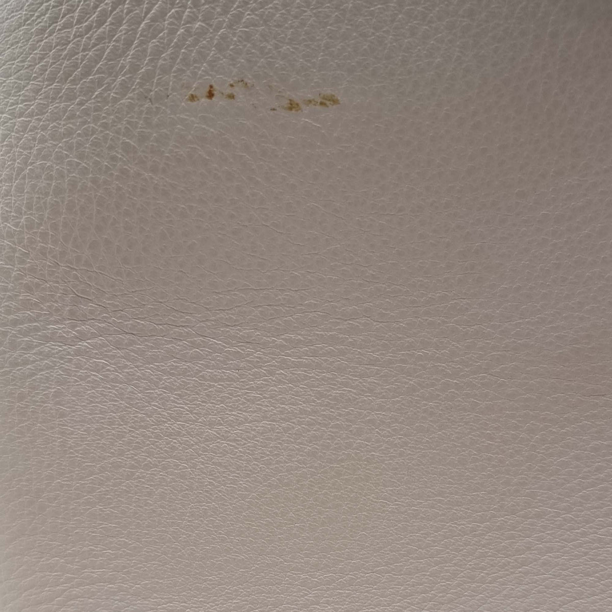 Close-up of Petite bags hardware and fine stitching