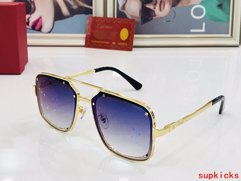 Side view of Cartier unisex sunglasses