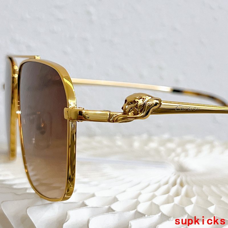 Side view of Cartier unisex sunglasses