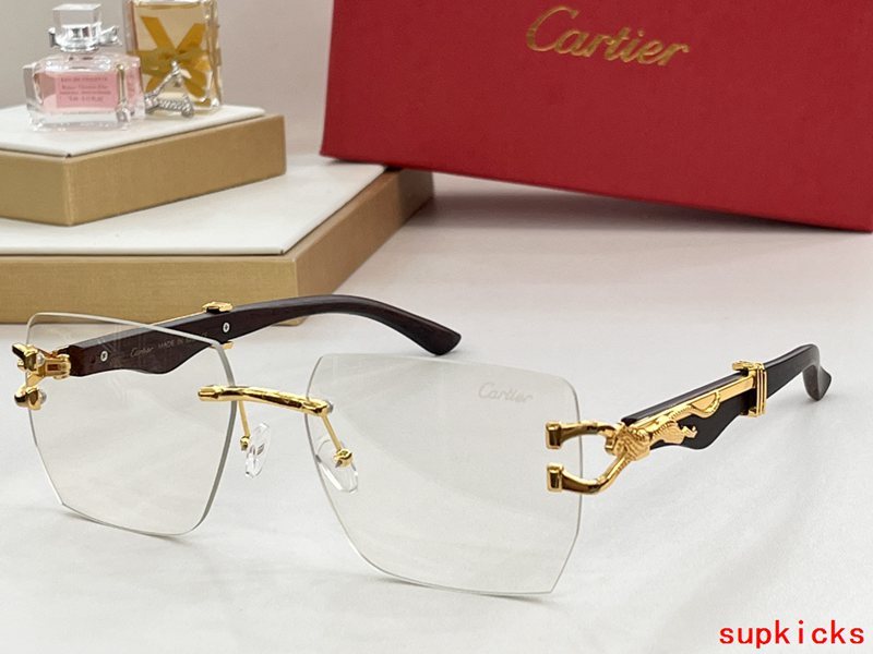 Front view of Cartier unisex sunglasses