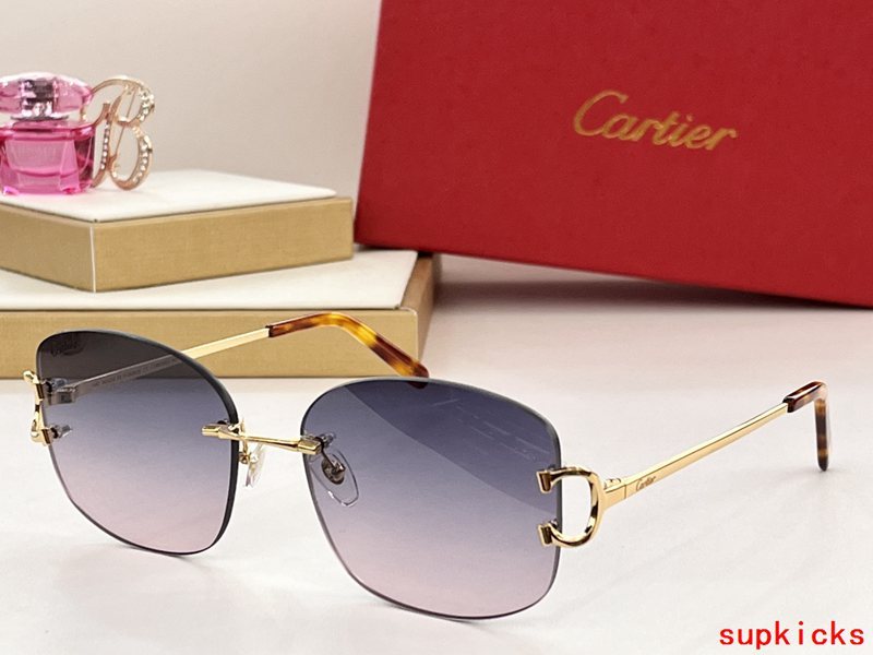 Lifestyle view of Cartier unisex sunglasses
