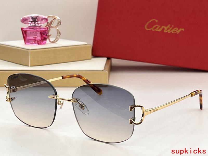 Front view of Cartier unisex sunglasses