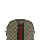 GG bags luxury designer piece front view
