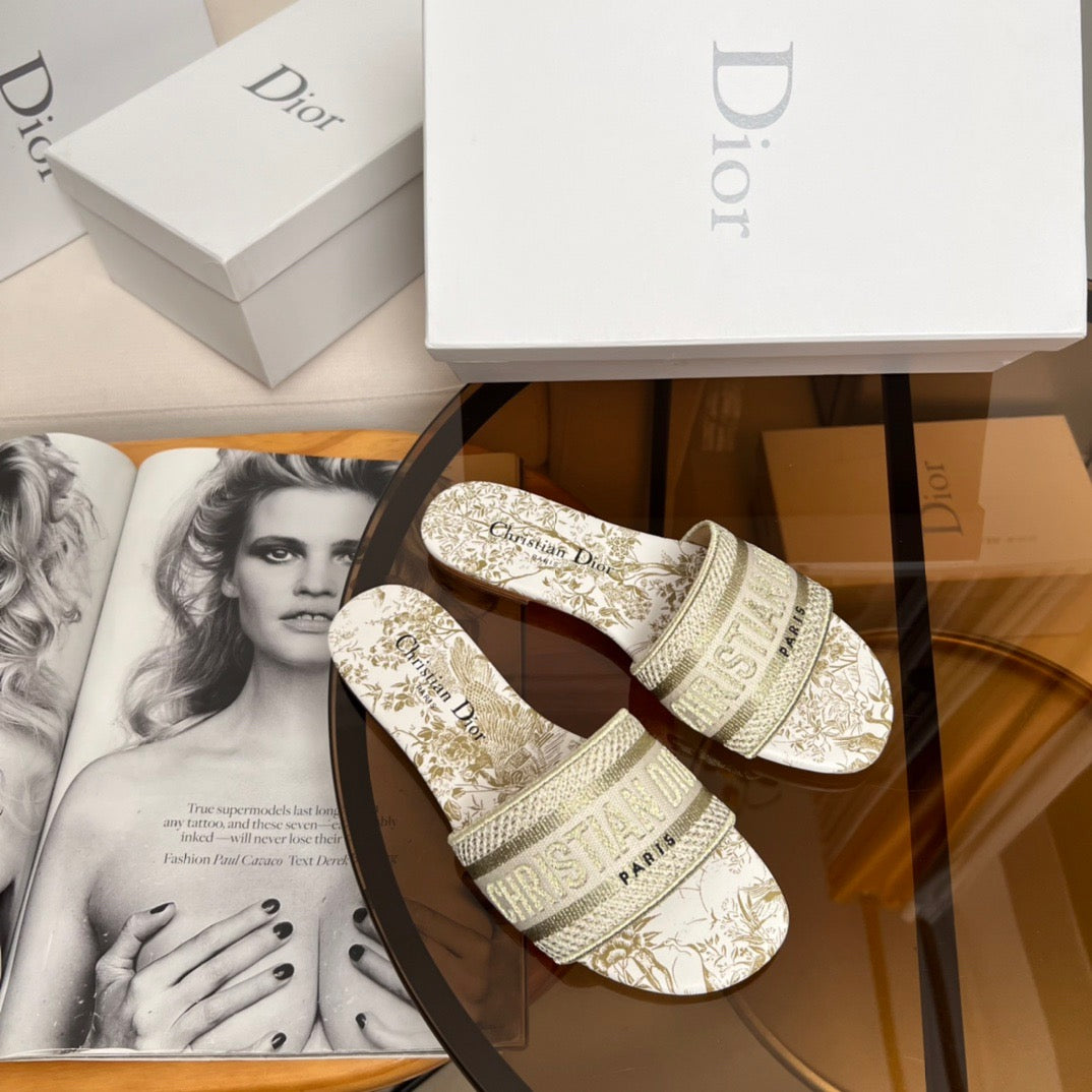 Dior Shoes? Dior Dway Slides Premium Designer Casual Shoes