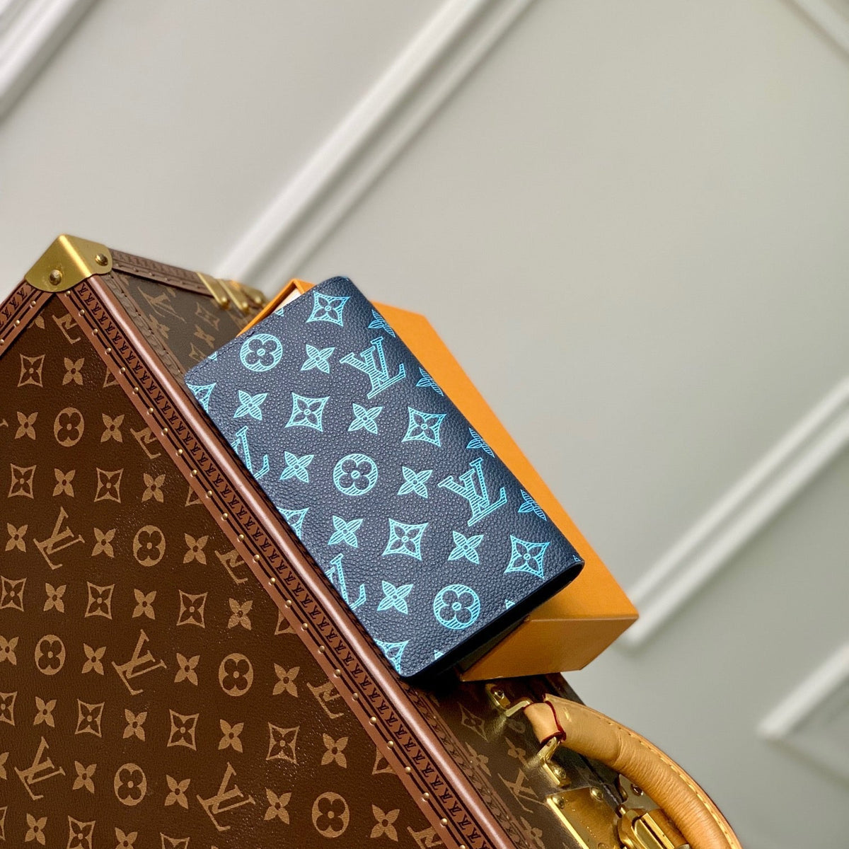 Louis Vuitton Wallets? Louis Vuitton Lou Aerogram Brazza Wallet Elegant Everyday Leather Wallet