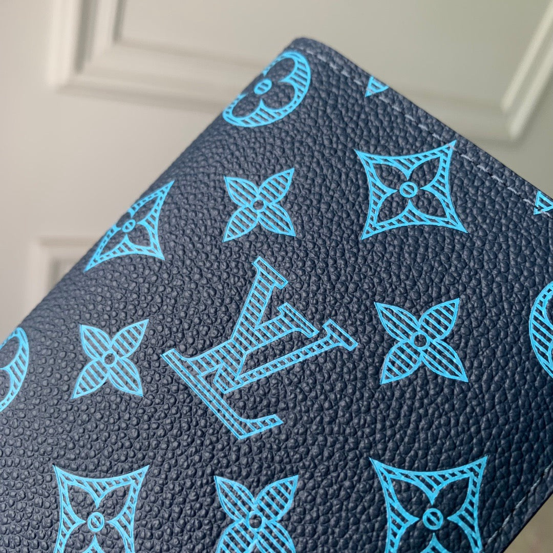 Louis Vuitton Wallets? Louis Vuitton Lou Aerogram Brazza Wallet Elegant Everyday Leather Wallet