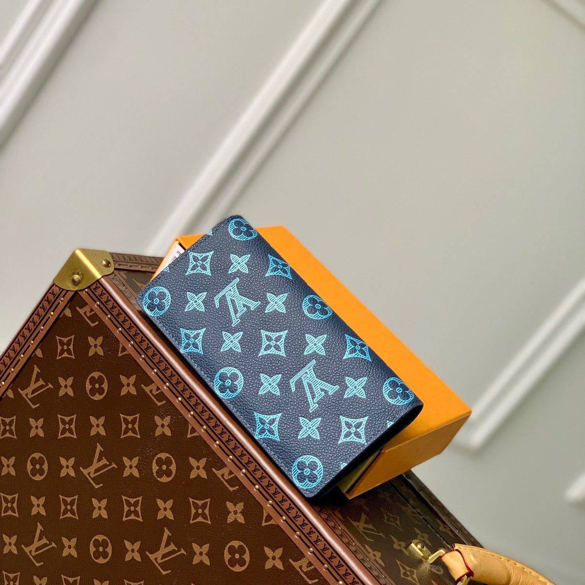 Louis Vuitton Wallets? Louis Vuitton Lou Aerogram Brazza Wallet Elegant Everyday Leather Wallet