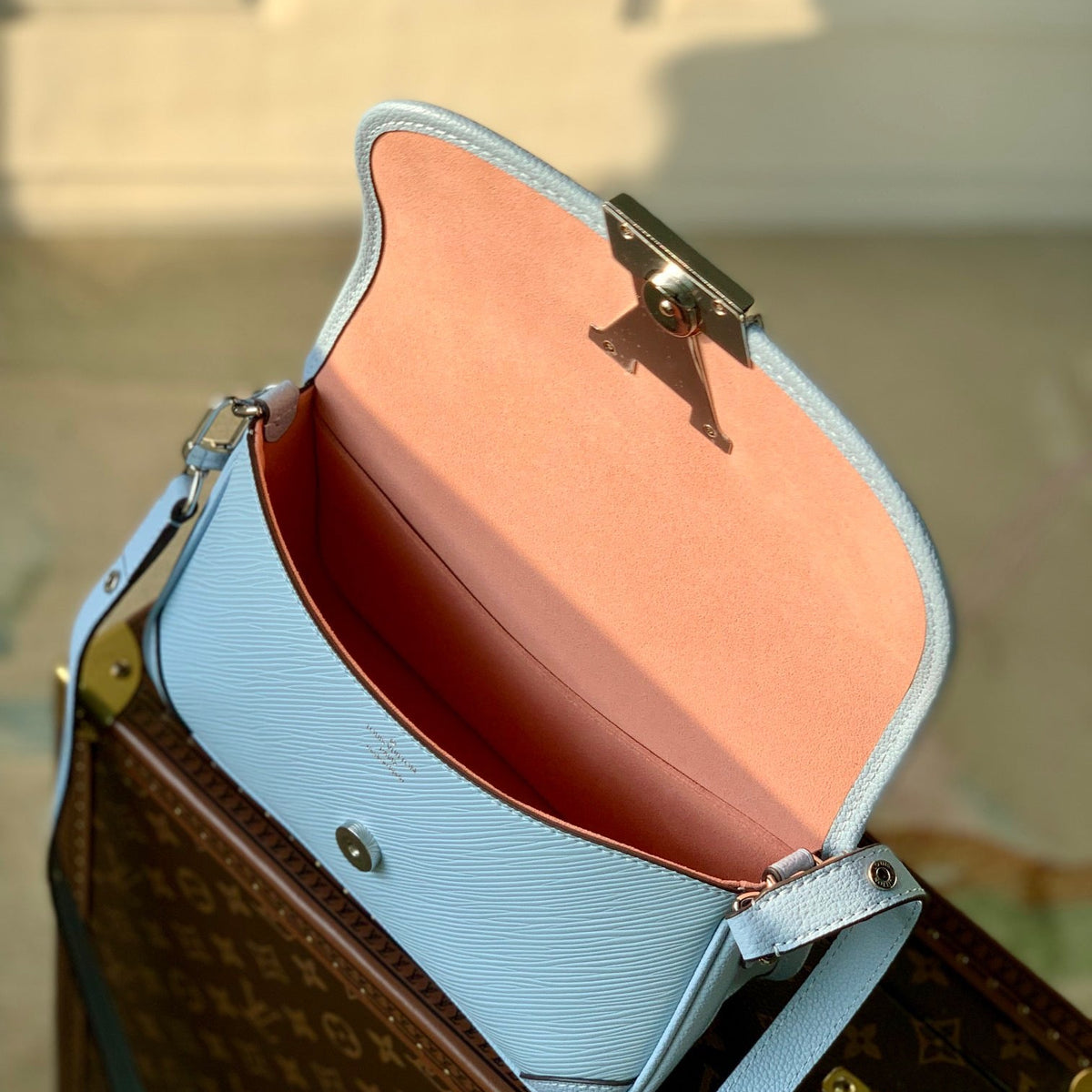 Louis Vuitton Wallets? Louis Vuitton Lou Buci Bag Elegant Everyday Leather Wallet