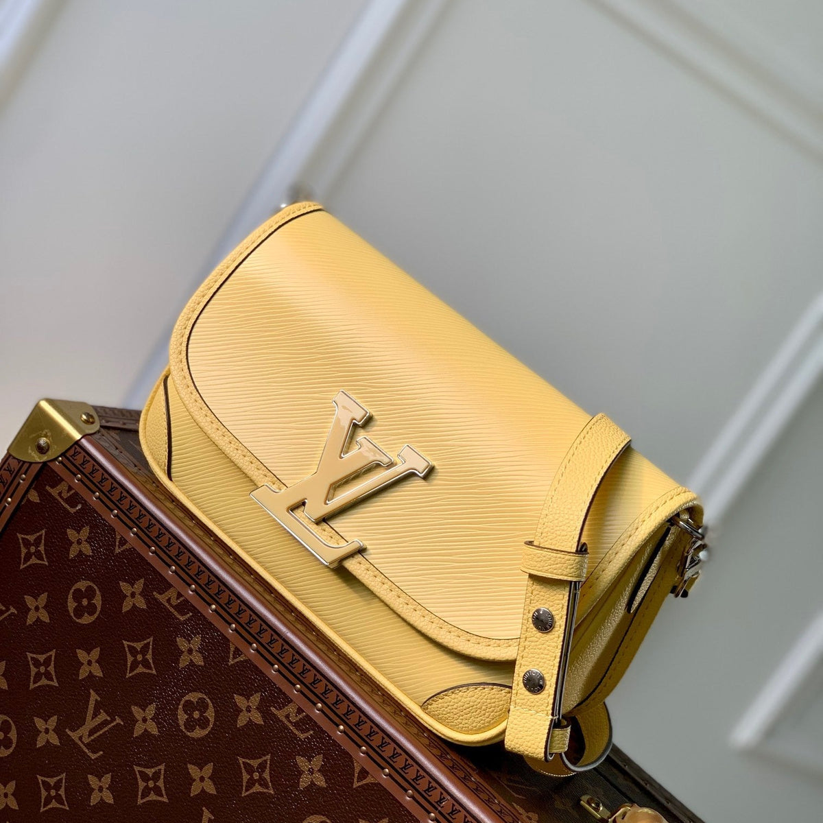Louis Vuitton Wallets? Louis Vuitton Lou Buci Bag Elegant Everyday Leather Wallet
