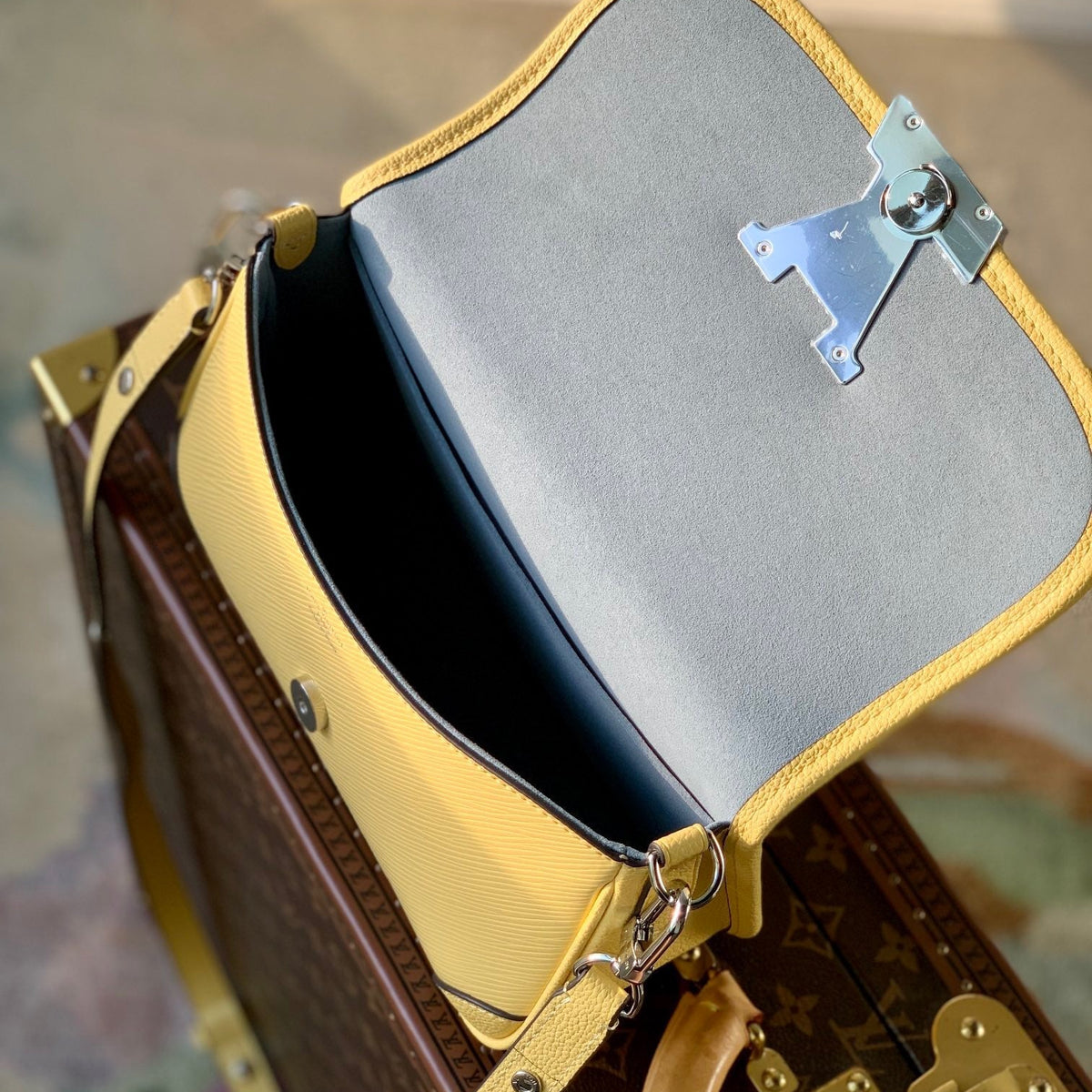 Louis Vuitton Wallets? Louis Vuitton Lou Buci Bag Elegant Everyday Leather Wallet