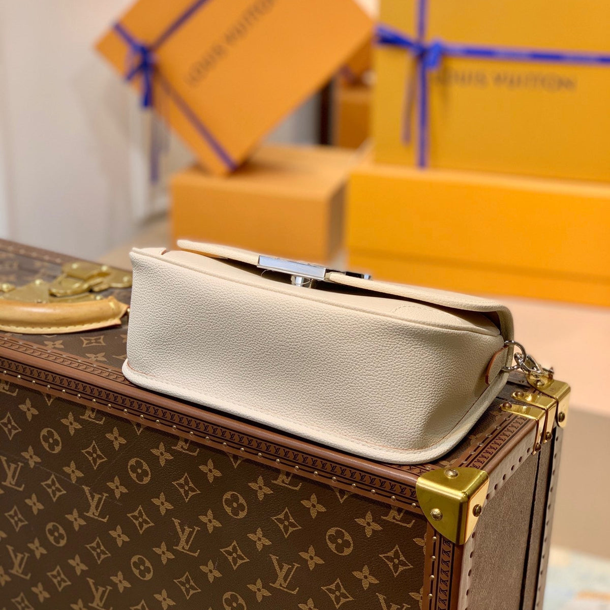 Louis Vuitton Wallets? Louis Vuitton Lou Buci Bag Elegant Everyday Leather Wallet