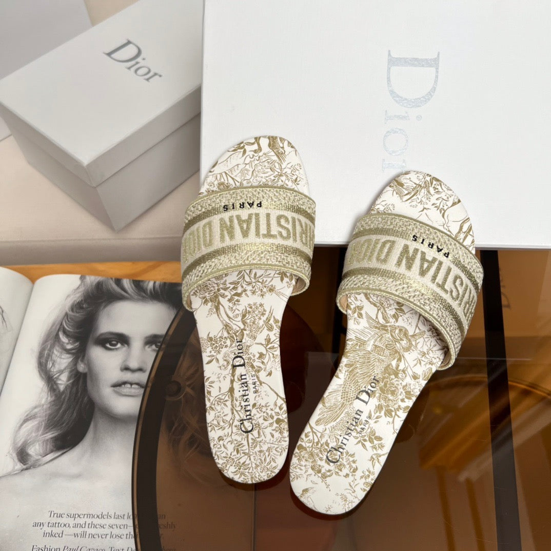 Dior Shoes? Dior Dway Slides Premium Designer Casual Shoes