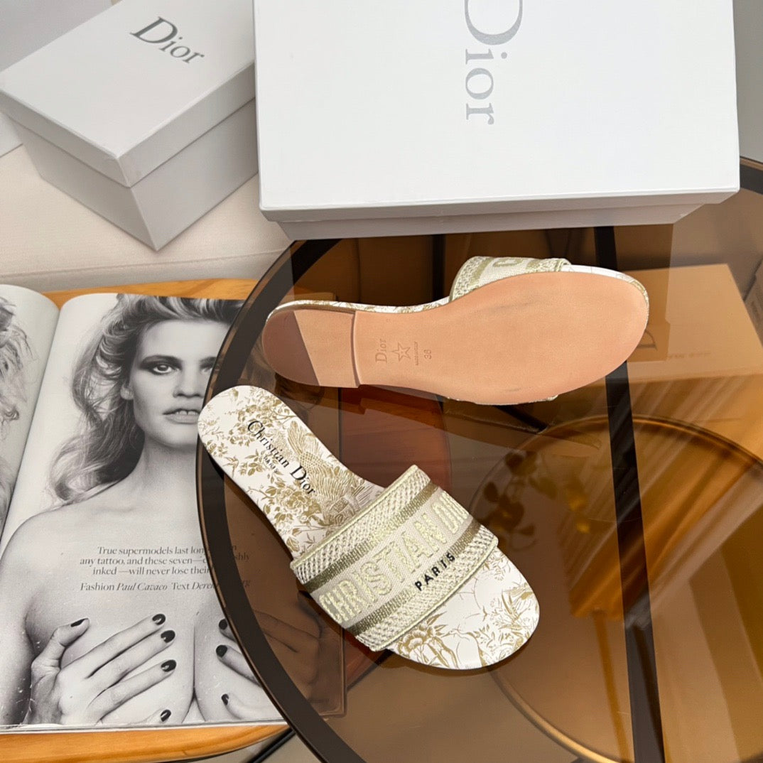 Dior Shoes? Dior Dway Slides Premium Designer Casual Shoes