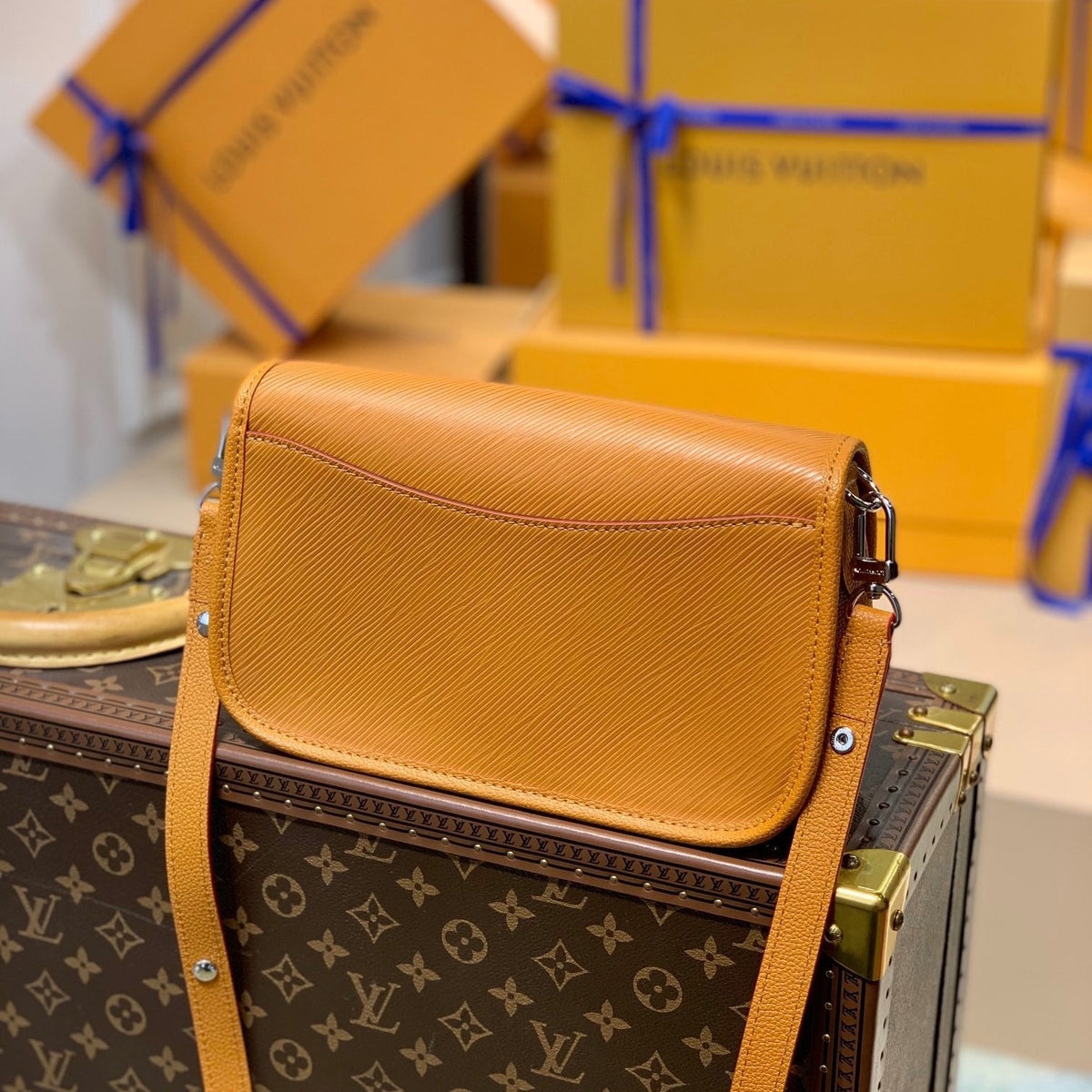 Louis Vuitton Wallets? Louis Vuitton Lou Buci Bag Elegant Everyday Leather Wallet