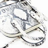 Balenciaga designer handbag python closeup detail
