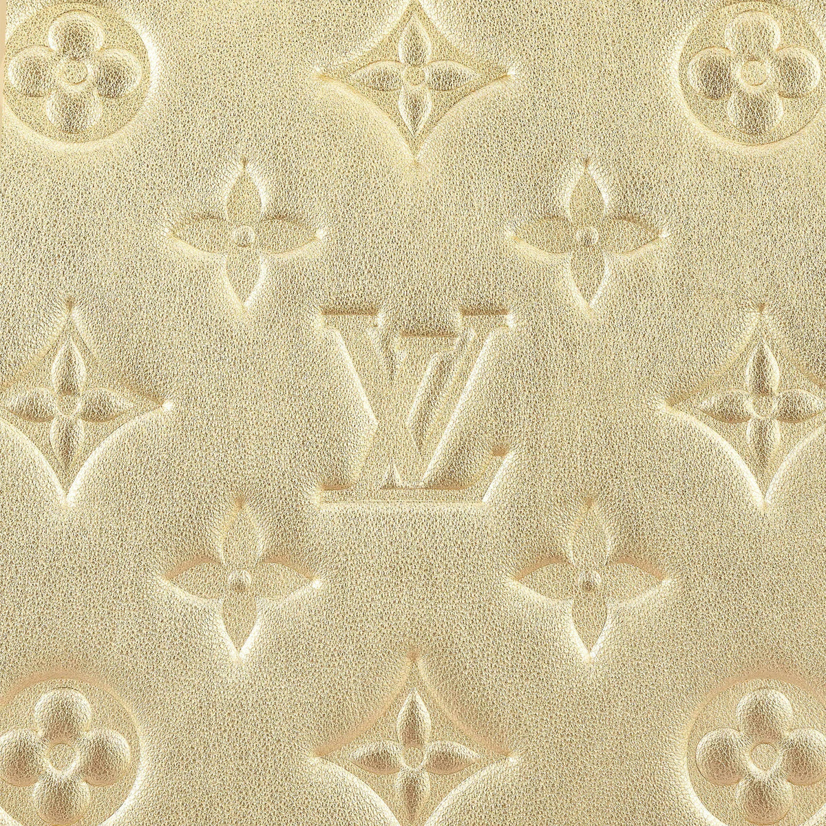 Louis Vuitton Coussin PM Gold