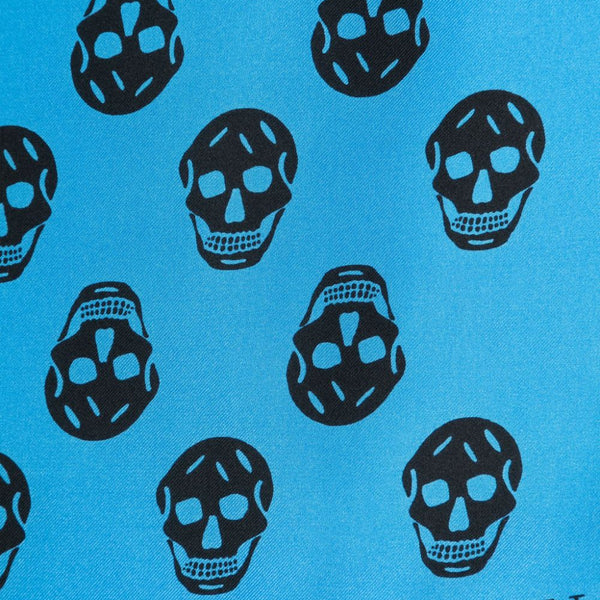 Alexander McQueen Scarves? Alexander Mcqueen Women Skull Silk Scarf Elegant Everyday Designer Scarf