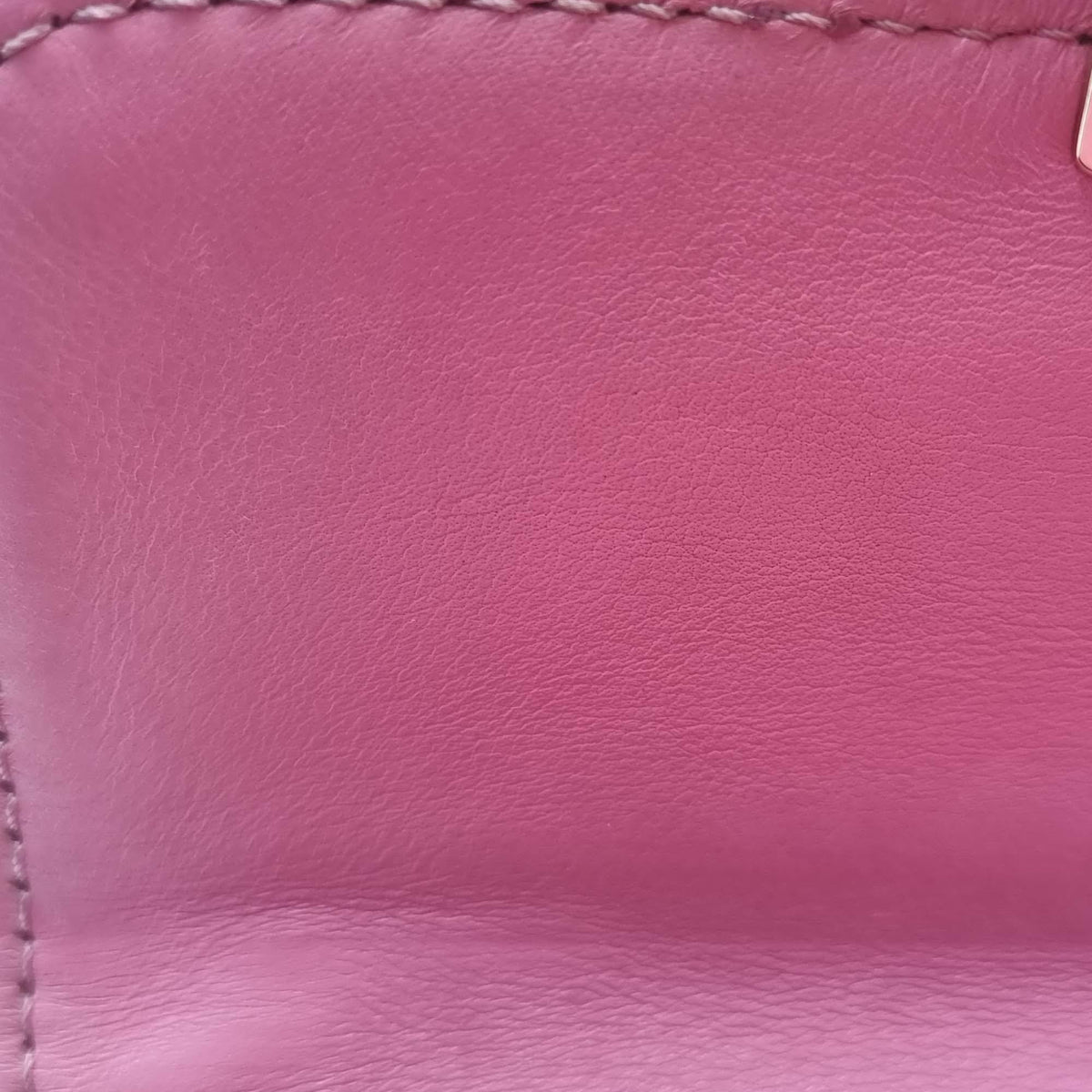 Close-up of Mini bags hardware and fine stitching